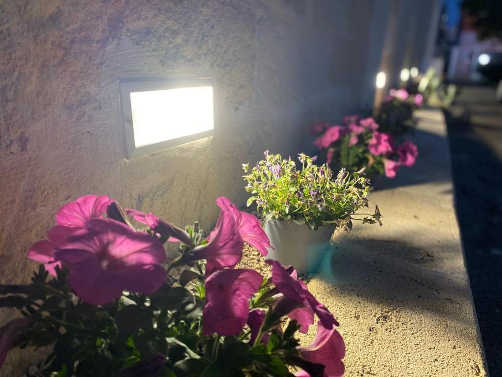 Viro House Bed & Breakfast Squinzano Dış mekan fotoğraf