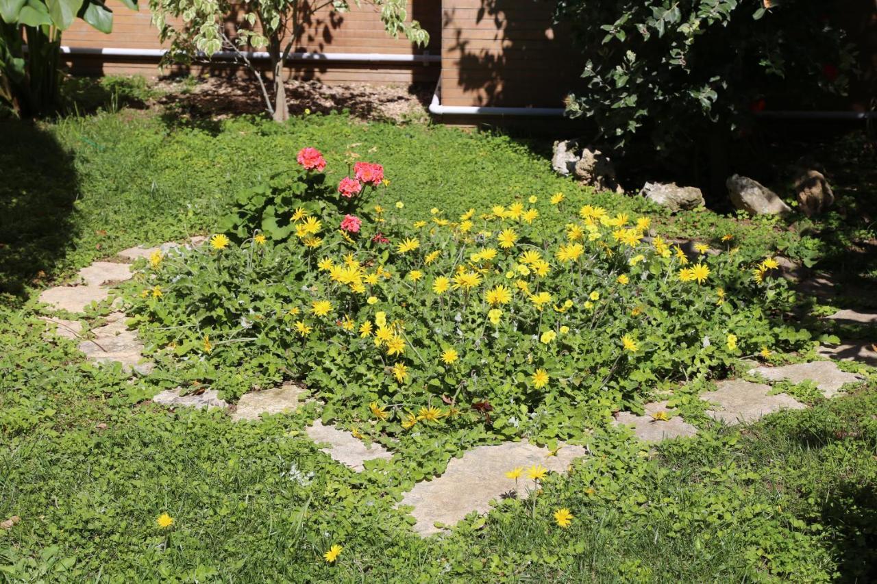 Viro House Bed & Breakfast Squinzano Dış mekan fotoğraf